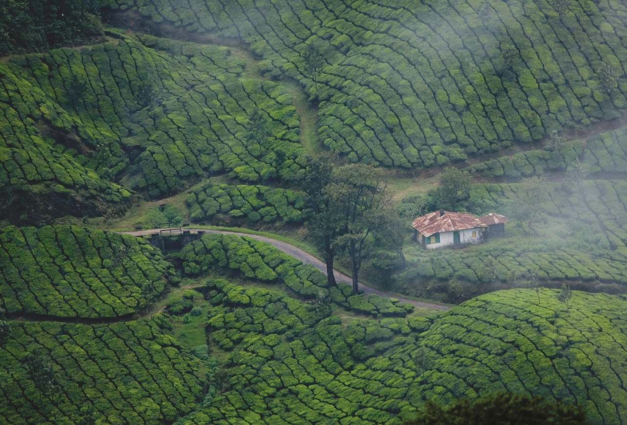 Luxe properties in India